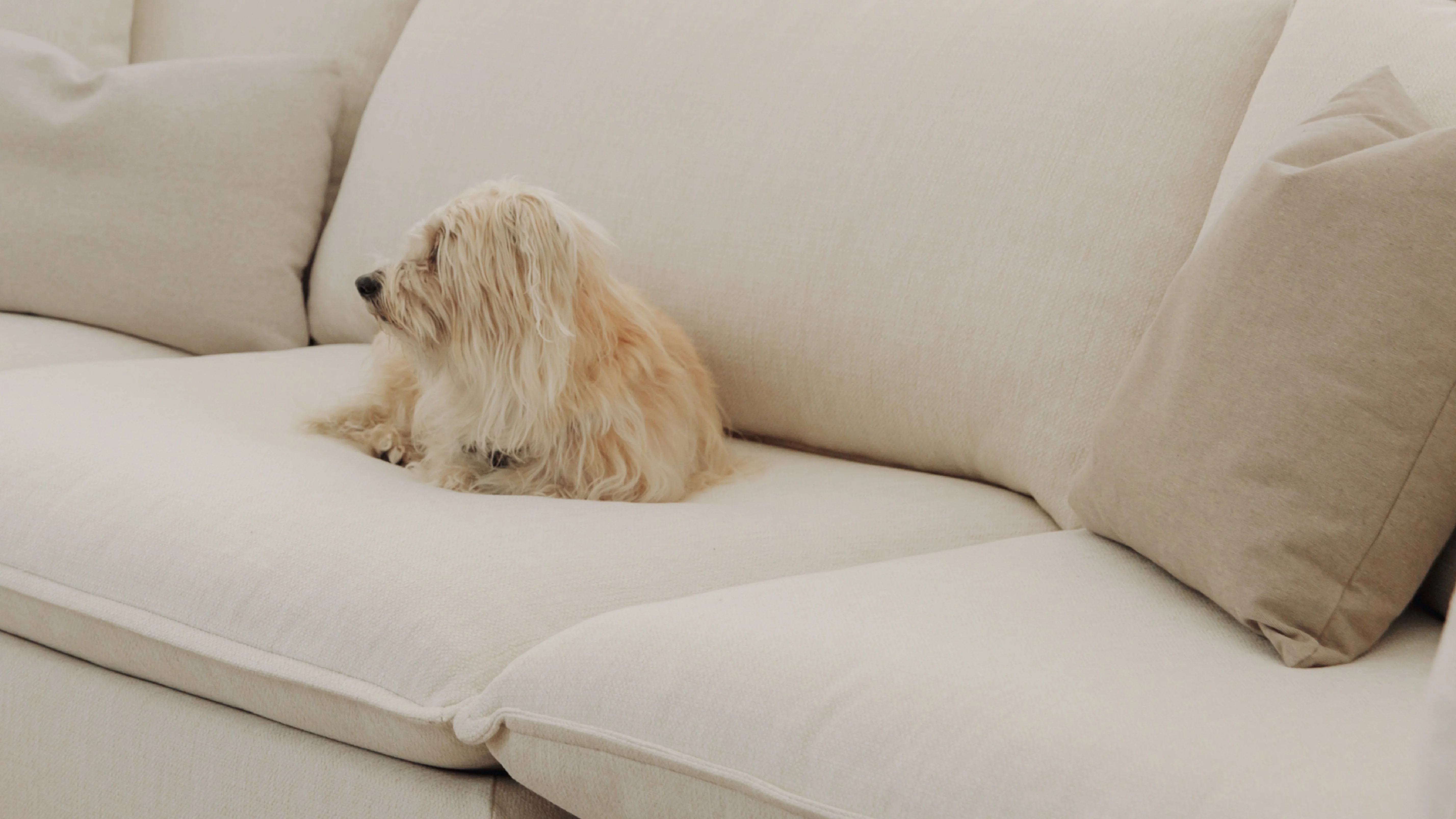 Chill Time 3-Piece Modular Sofa, Birch - Image 7